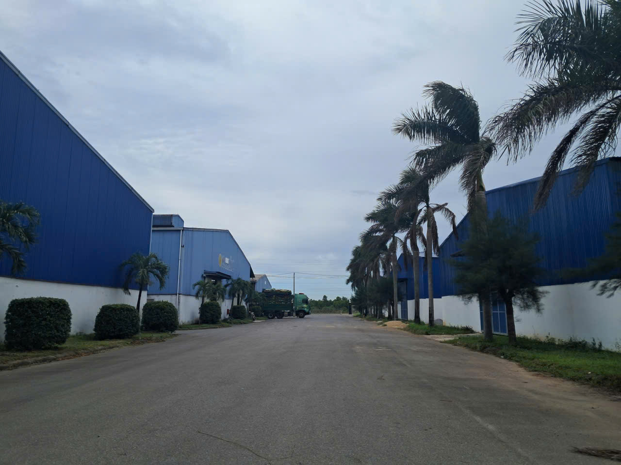 gen-h-MT1